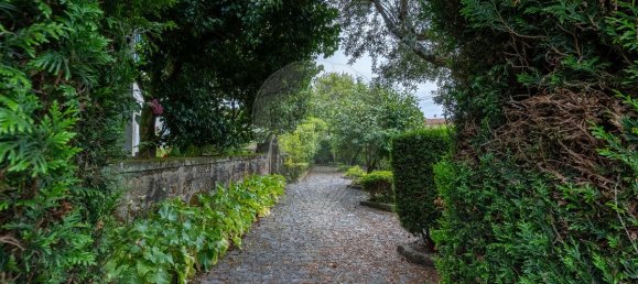 4 Schlafzimmer Haus in Mansores, Portugal, Nr. 176878 48