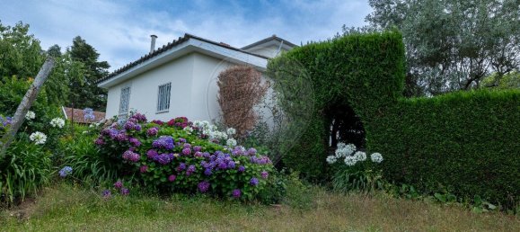 4 Schlafzimmer Haus in Mansores, Portugal, Nr. 176878 47