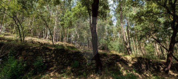 4 Schlafzimmer Haus in Mansores, Portugal, Nr. 176878 8