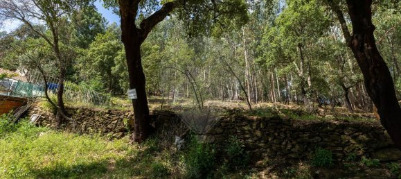 4 Schlafzimmer Haus in Mansores, Portugal, Nr. 176878 7
