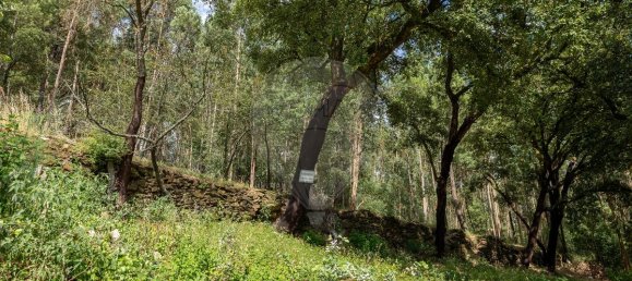 4 Schlafzimmer Haus in Mansores, Portugal, Nr. 176878 6