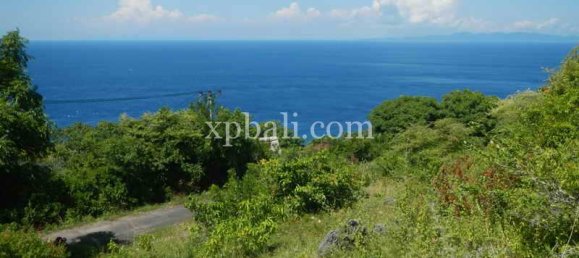 Terrain à Nusa Penida, Indonesia 8500m² No. 3812 2