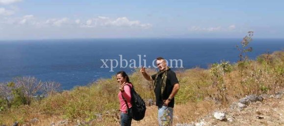 Terrain à Nusa Penida, Indonesia 8500m² No. 3812 6