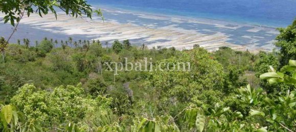 Terrain à Nusa Penida, Indonesia 8500m² No. 3812 5