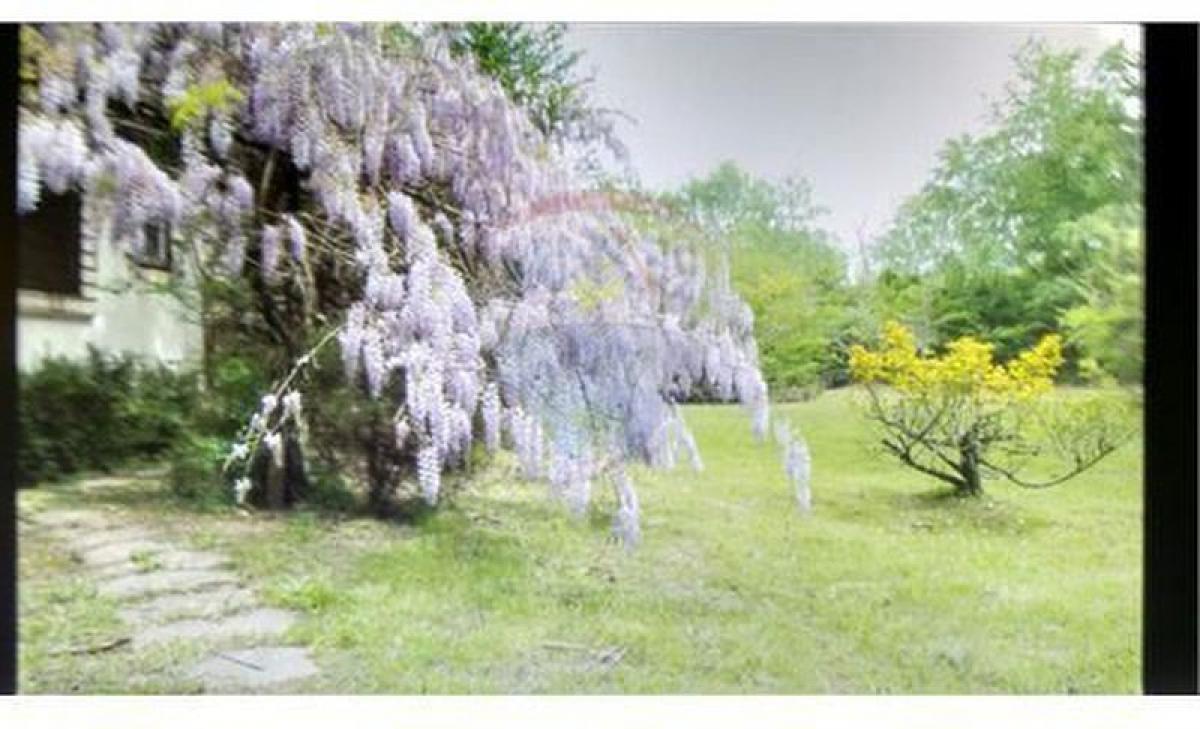 Земельный участок в Буэнос-Айрес, Аргентина № 117375