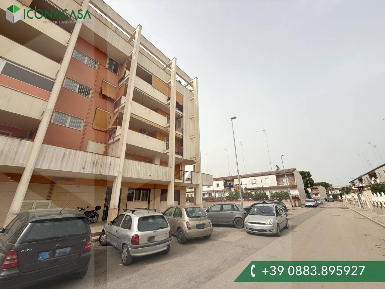 2 rooms Office in Barletta, Italy No. 23435