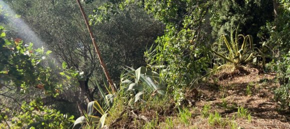 14-Zimmer Villa in Terricciola, Italy, Nr. 76366 34