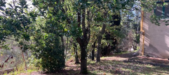 14-Zimmer Villa in Terricciola, Italy, Nr. 76366 36