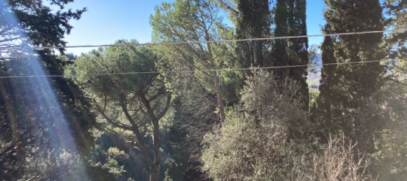 14-Zimmer Villa in Terricciola, Italy, Nr. 76366 6