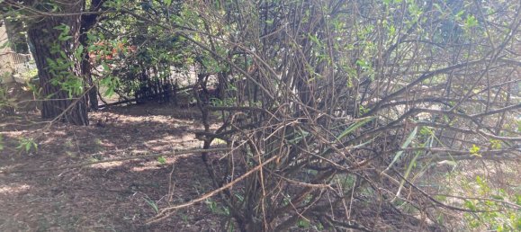 14-Zimmer Villa in Terricciola, Italy, Nr. 76366 37