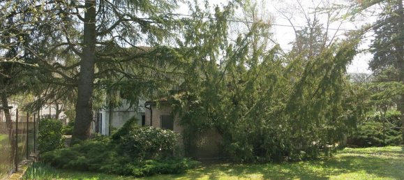 10 rooms Villa in Fidenza, Italy No. 106538 6