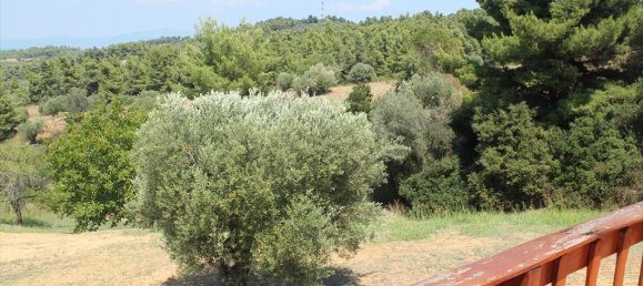 3 chambres Propriété commerciale à Chalkidiki, Greece No. 7659 30