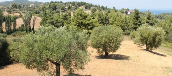 3 chambres Propriété commerciale à Chalkidiki, Greece No. 7659 29