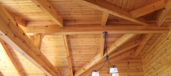 3 chambres Propriété commerciale à Chalkidiki, Greece No. 7659 10