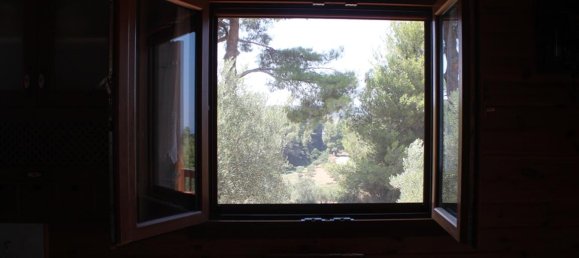 3 chambres Propriété commerciale à Chalkidiki, Greece No. 7659 13