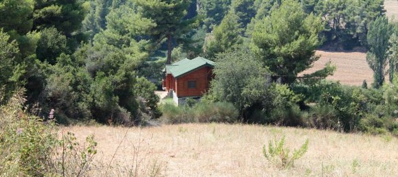 3 chambres Propriété commerciale à Chalkidiki, Greece No. 7659 2