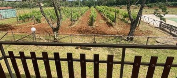 10 rooms Villa in Gavorrano, Italy No. 148482 10