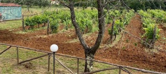 10 rooms Villa in Gavorrano, Italy No. 148482 6