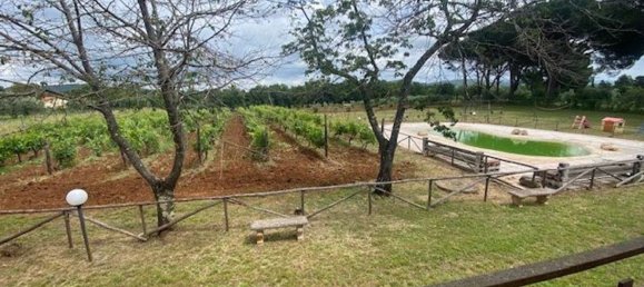 10 rooms Villa in Gavorrano, Italy No. 148482 4