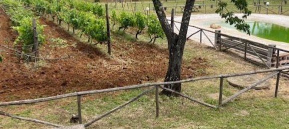 10 rooms Villa in Gavorrano, Italy No. 148482 8