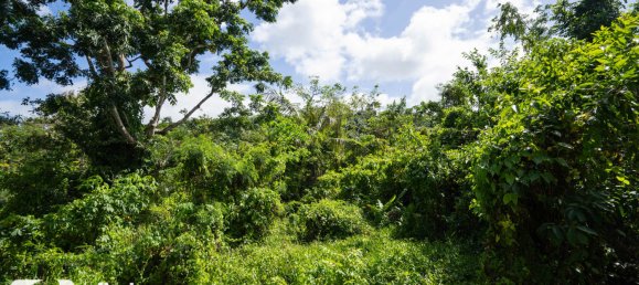  قطعة أرض في Port-Vila, Vanuatu 1569متر مربع رقم 120 9