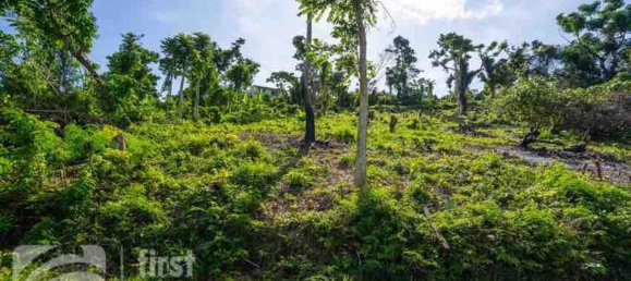  قطعة أرض في Port-Vila, Vanuatu 1569متر مربع رقم 120 4