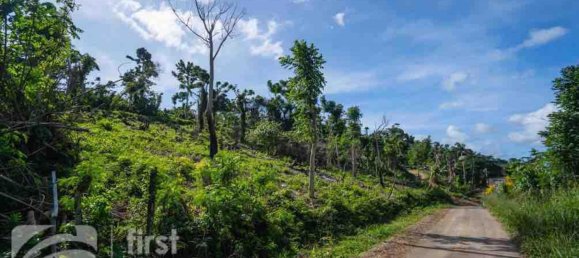  قطعة أرض في Port-Vila, Vanuatu 1569متر مربع رقم 120 3