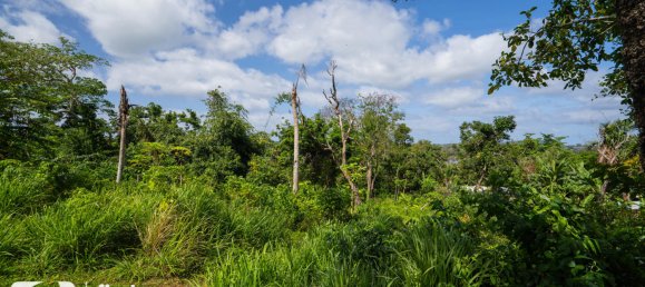  قطعة أرض في Port-Vila, Vanuatu 1569متر مربع رقم 120 12