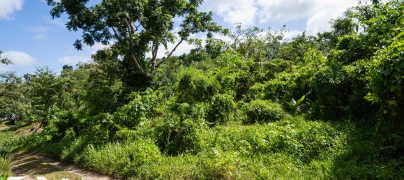  قطعة أرض في Port-Vila, Vanuatu 1569متر مربع رقم 120 11