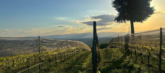 3 rooms House in Gralla, Austria No. 159420 31