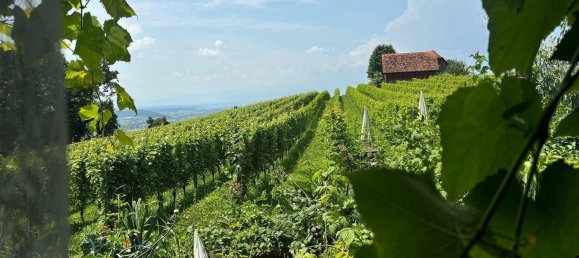 3 rooms House in Gralla, Austria No. 159420 23