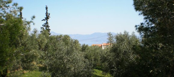 Imóvel comercial T2 em Euboea, Greece N.º 7798 2