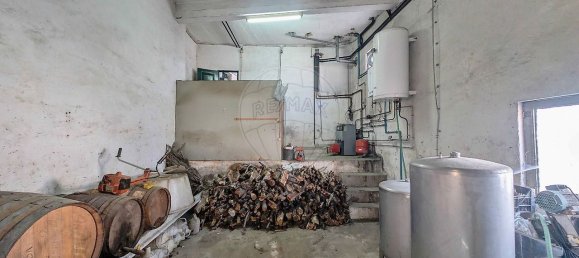 4 bedrooms House in Ervedosa do Douro, Portugal No. 171414 6