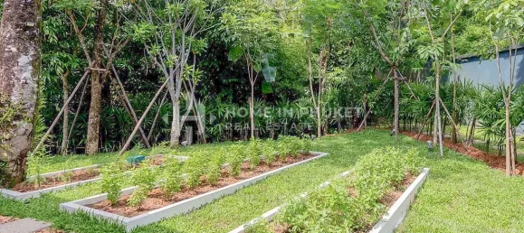 3 Schlafzimmer Haus in Phuket, Thailand, Nr. 60344 24