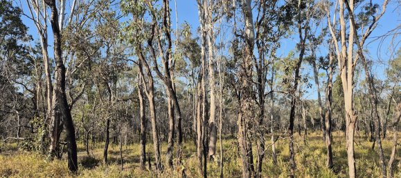 243000m² Land in Silver Valley, Australia No. 40 9