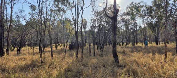 243000m² Land in Silver Valley, Australia No. 40 3