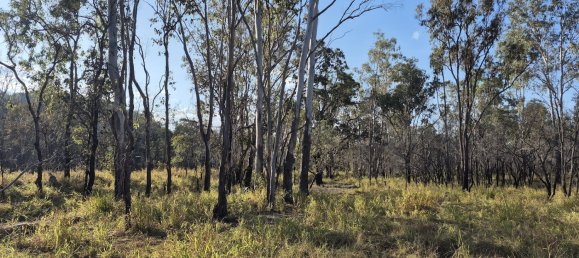 243000m² Land in Silver Valley, Australia No. 40 6