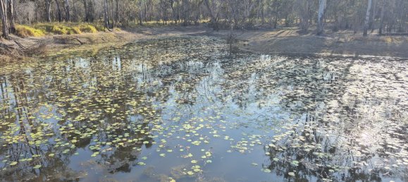 243000m² Land in Silver Valley, Australia No. 40 8