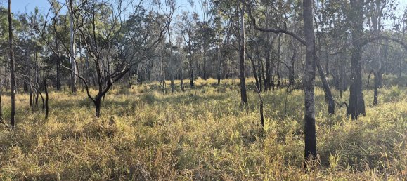 243000m² Land in Silver Valley, Australia No. 40 5