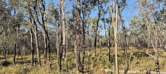 243000m² Land in Silver Valley, Australia No. 40 2