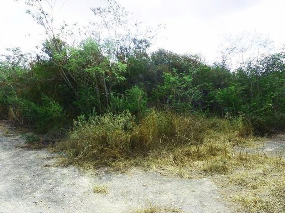 Grundstück in Merida, Mexico, Nr. 108051