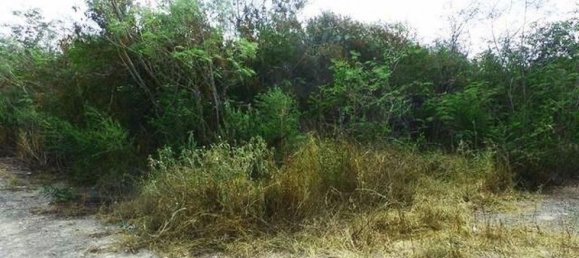 Grundstück in Merida, Mexico, Nr. 108051 2