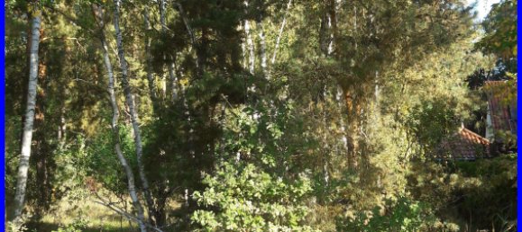  Land in Brandenburg, Germany No. 88321 2