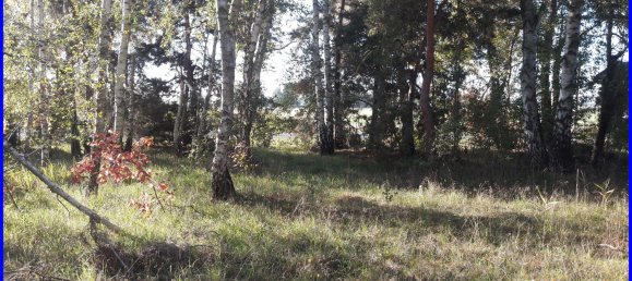  Land in Brandenburg, Germany No. 88321 5