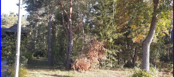  Land in Brandenburg, Germany No. 88321 4