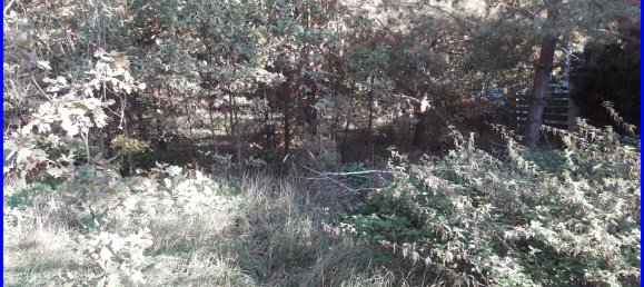  Land in Brandenburg, Germany No. 88321 6