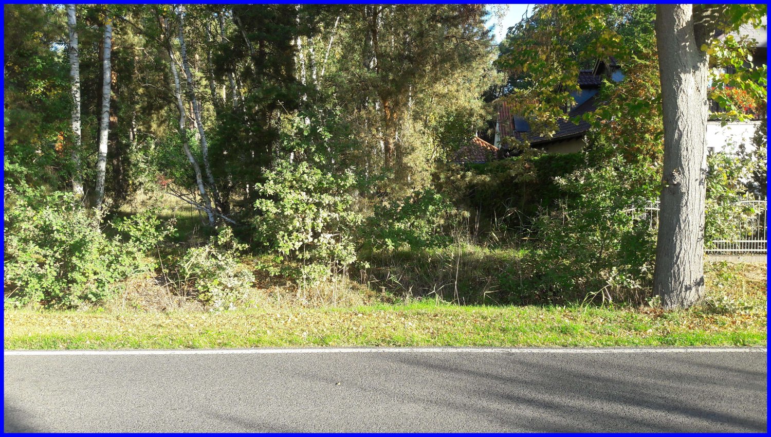  Land in Brandenburg, Germany No. 88321