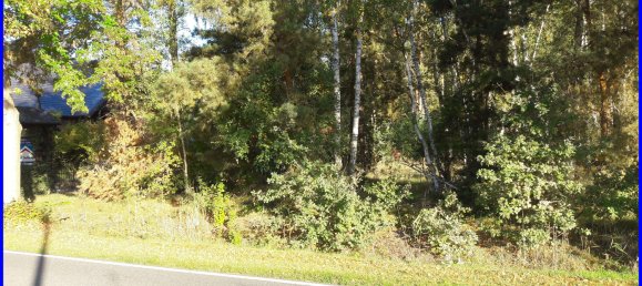  Land in Brandenburg, Germany No. 88321 3