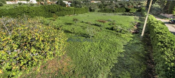 4 غرف نوم فيلا في Silves, Portugal رقم 97756 38