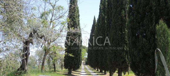 7 rooms House in San Miniato, Italy No. 234239 2